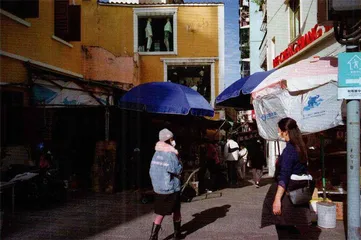 澳门在复苏7