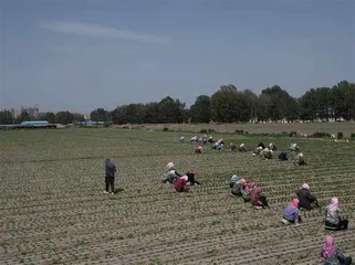 漫行河西走廊2