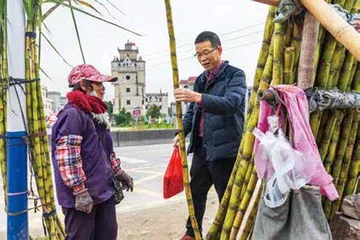 开平碉楼与村落的生活9