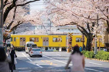 吉井忍:东京八平米,重建一个人的生活5