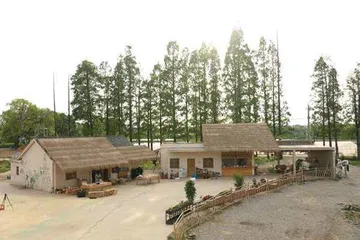 土地的回声1