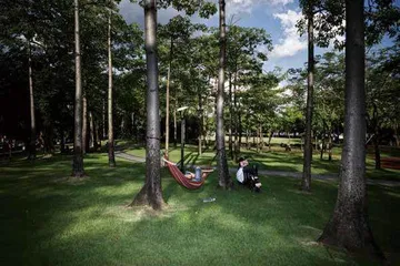 广州的夏天7