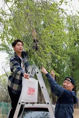 陈佩斯:天鹅展翼飞过1