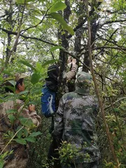保护天行长臂猿也是在保护人与万物的连结3