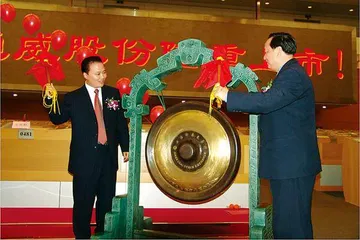 为什么是通威?刘汉元和他的千亿光伏王国1