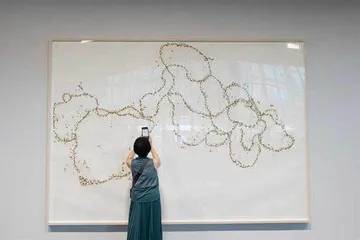 罗尼·霍恩:“冰岛是一种占据了我的力量”1