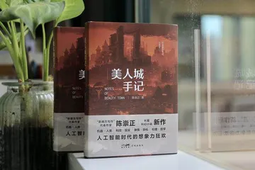 陈崇正:在新南方开启不确定的创作美学1