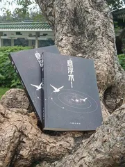 陈崇正:在新南方开启不确定的创作美学2