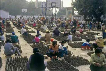 安东尼·葛姆雷:用身体连接已知和未知4