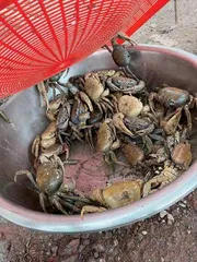 外派去非洲应届毕业生的就业新选择2
