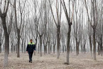 北京下苑村:艺术融入乡村的一种可能5