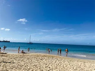 马提尼克岛的鲜花与艳阳6
