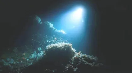 唐立梅:我给学生们分享深海里的星空,他们眼里会放光1