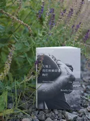 王鸥行:有色人种作家的作品有超越报告文学的价值1