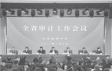 为全面推进中国式现代化江苏新实践贡献审计力量
