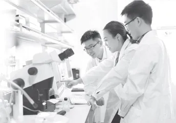 打造江苏人才发展现代化先行区的目标构想与路径优化