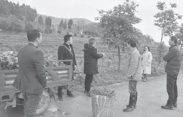 年轻干部要在推进中国式现代化新征程中堪当重任
