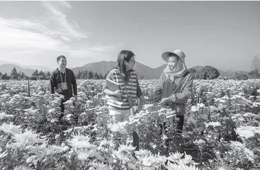 实现江苏就业创业高质量发展