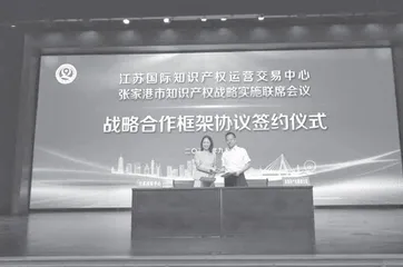 全面提升江苏知识产权领域治理能力