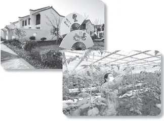 党建引领齐绘乡村振兴共同富裕“和美图景”