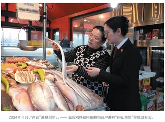 “数智融合”为法治政府建设赋能