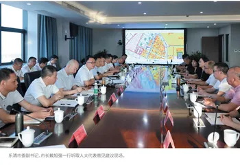 基层民主实践的“乐清篇章”
