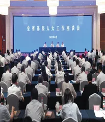 夯实基层民主根基