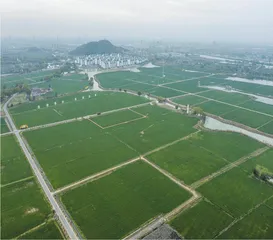 立法守护一方净土