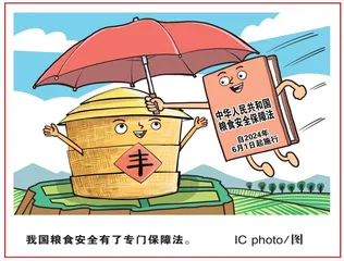 粮食安全治理有了“护法神盾”
