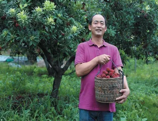 倪晓军：助力兰溪杨梅“出圈”