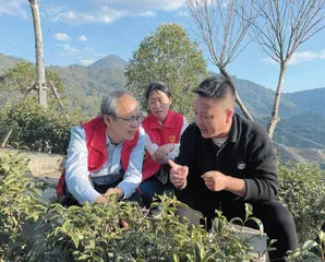 任卫忠：走好茶产业发展新路子