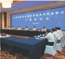 奋力书写共同富裕“人大答卷1