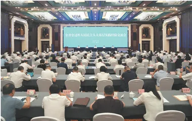 高水平体系化推进人大践行全过程人民民主
