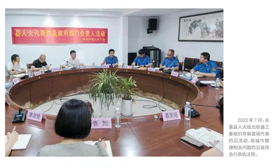 永嘉：“代表约见”解难题 