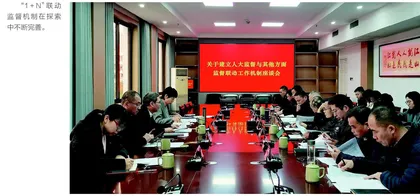 瑞安：建立“1+N”联动监督机制