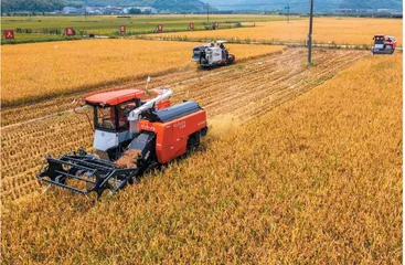 用法治促农业丰产  以制度保粮食安全