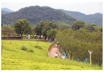 诸暨市：助力乡村全面振兴