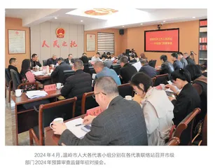 温岭：参与式预算的民主实践 