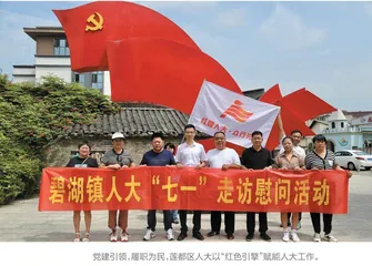 莲都：“红色引擎”激活履职新动能 