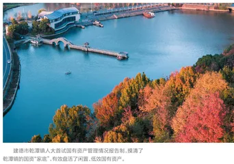 建德市：试行镇街国资管理情况报告制