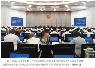 “回头看”推动民营经济“往前走”