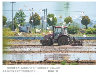 2023年，浙江人大监督工作这么干