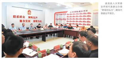 遂昌：推陈出新让“金点子”发光