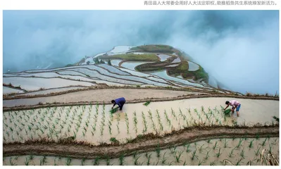 助推千年农遗焕发时代活力