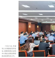 平湖：协同发力助发展