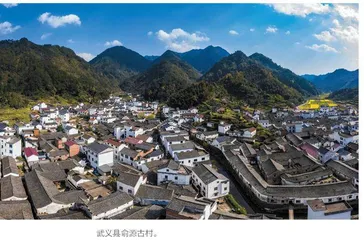 金华：为八婺乡村添“金”彩