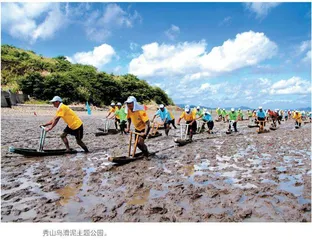 岱山：描绘海岛共富新画卷  