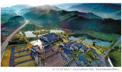 代表助力绘就美丽乡村新画卷