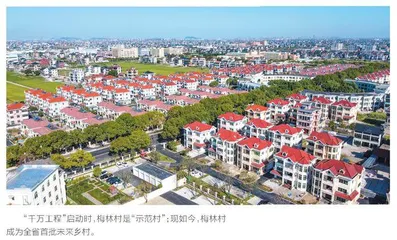 蓝小清、叶海勇：美丽乡村入画来