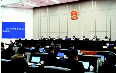 做实做亮备案审查